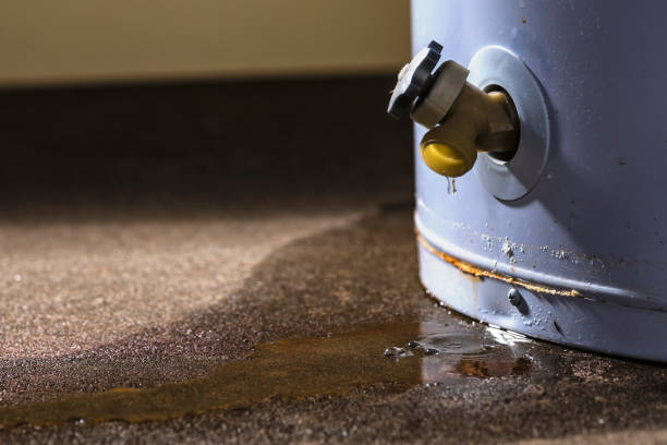 Best Professional water damage repair  in Berryville, AR