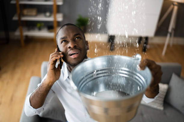 Best Basement water damage restoration  in Berryville, AR