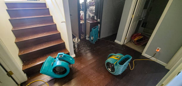 Best Carpet water damage restoration  in Berryville, AR