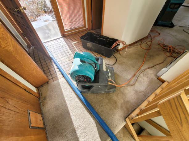 Best Flood restoration services  in Berryville, AR