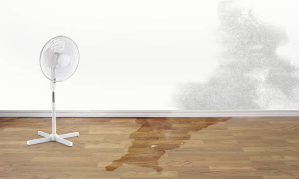 Carpet water damage restoration in AR