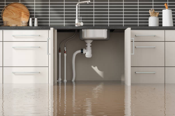 Best Commercial water damage restoration  in Berryville, AR